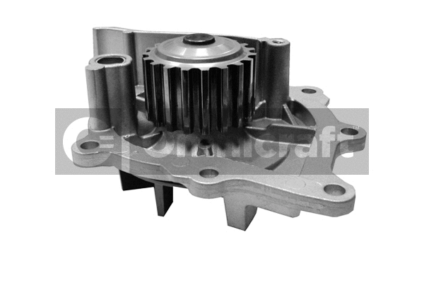 Water Pump, engine cooling (2317069)
