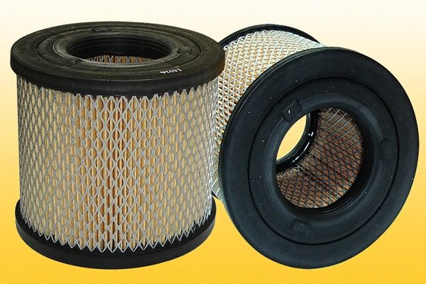 Air Filter (QFA581)
