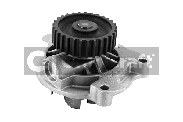 Water Pump, engine cooling (2317386)