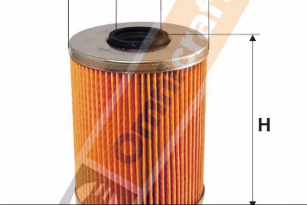 Fuel Filter (2136745)