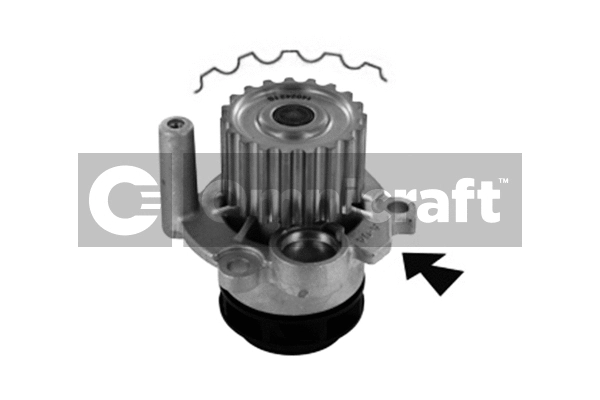 Water Pump, engine cooling (2316884)