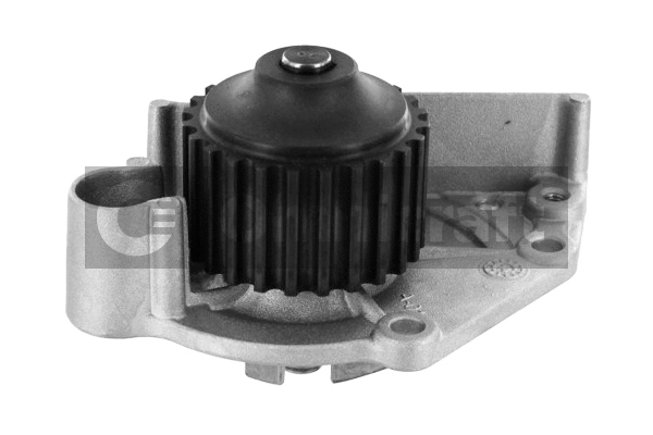 Water Pump, engine cooling (2317445)