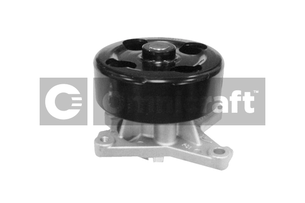 Water Pump, engine cooling (2317278)