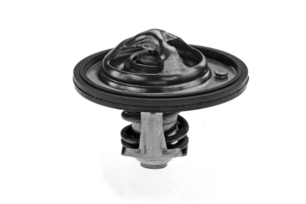 Thermostat, coolant (2458046)