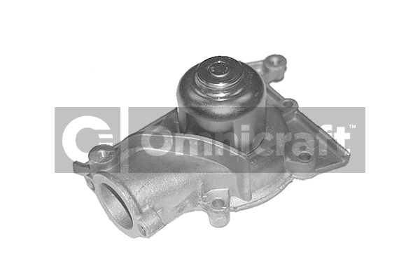 Water Pump, engine cooling (2317312)