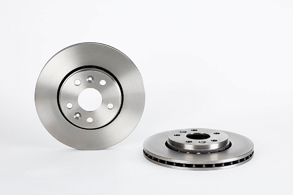 Brake Disc (2134443)