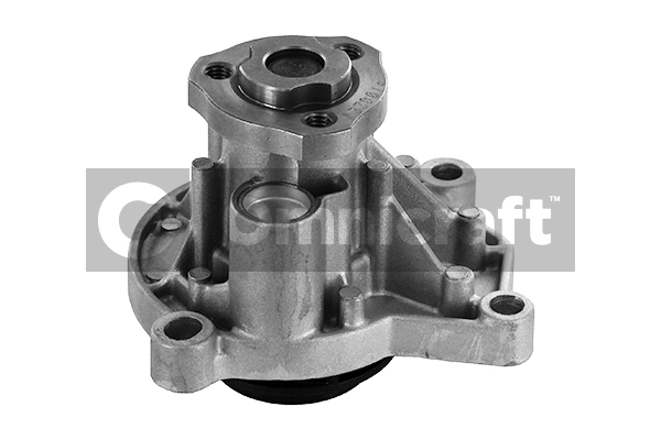 Water Pump, engine cooling (2316910)