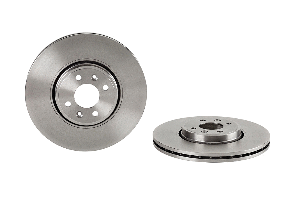 Brake Disc (2134082)