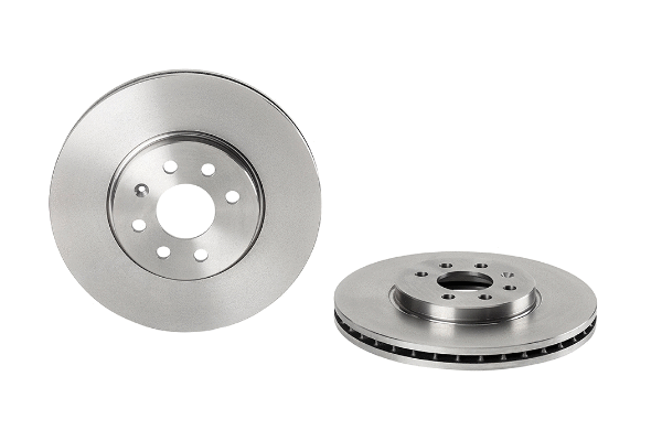 Brake Disc (2134437)