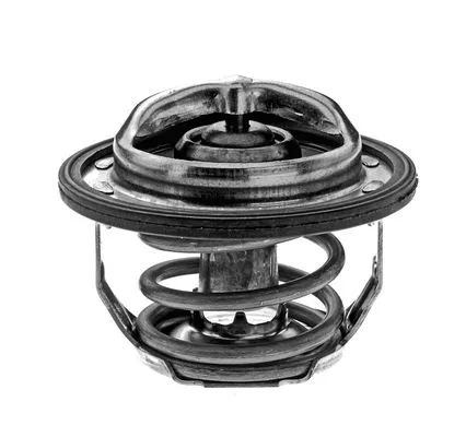Thermostat, coolant (2457883)