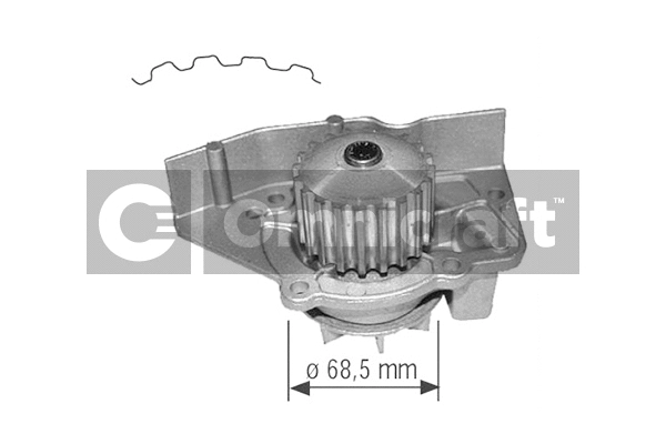 Water Pump, engine cooling (2317356)