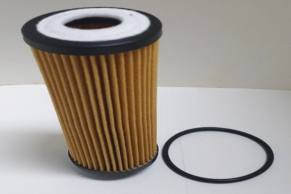 Oil Filter (QFL224)