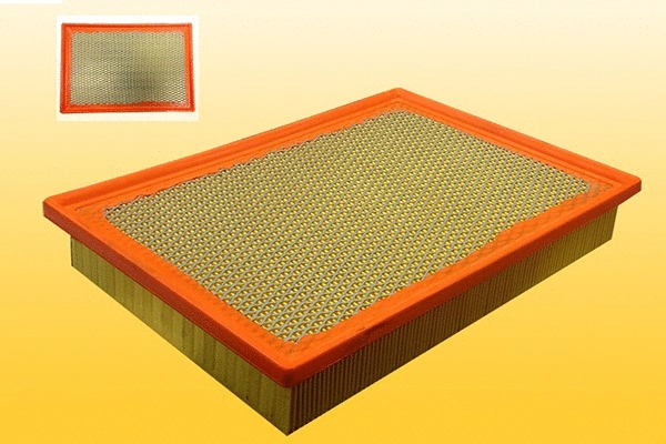 Air Filter (QFA591)