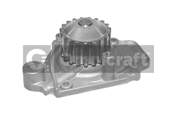 Water Pump, engine cooling (2317238)