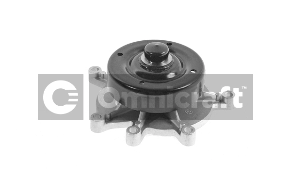 Water Pump, engine cooling (2317360)