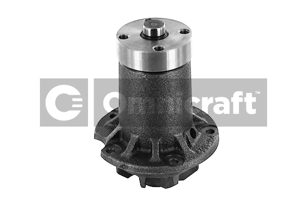 Water Pump, engine cooling (2317414)