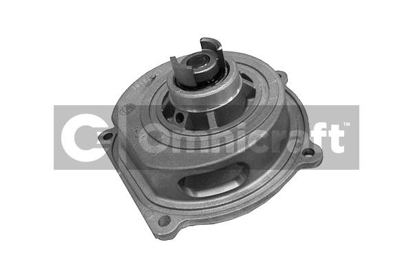 Water Pump, engine cooling (2317390)