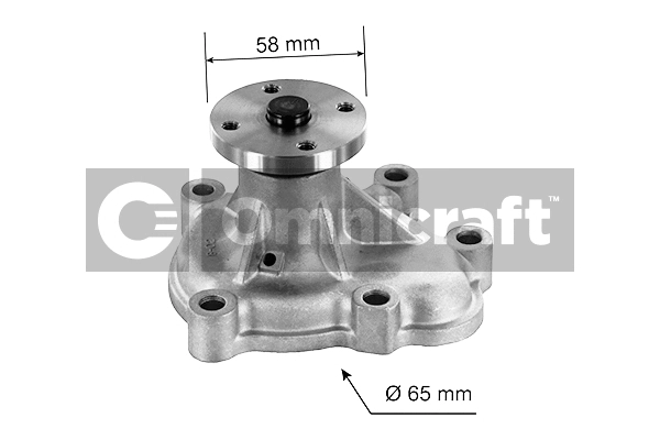 Water Pump, engine cooling (2317418)