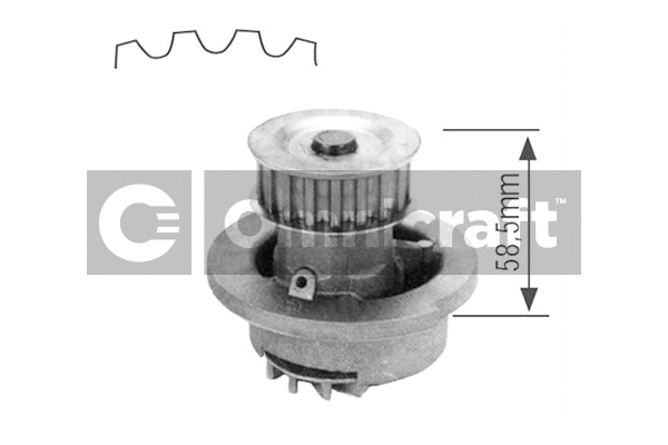 Water Pump, engine cooling (2316938)