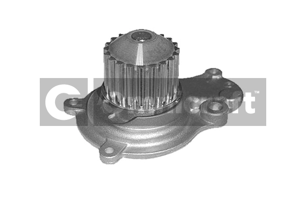 Water Pump, engine cooling (2317338)