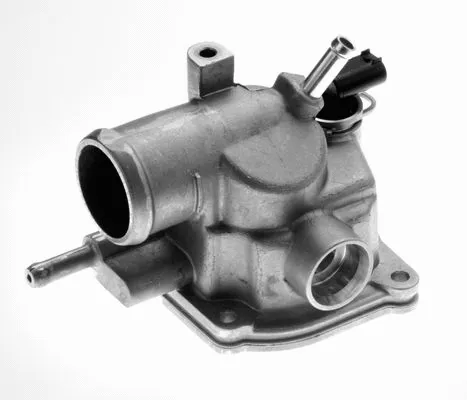 Thermostat, coolant (2458016)