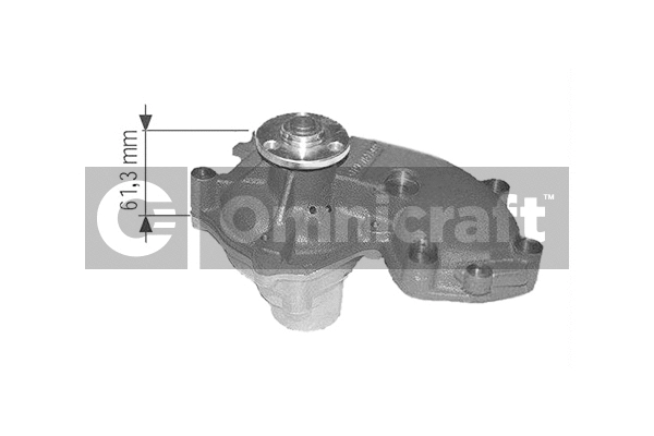 Water Pump, engine cooling (2317204)