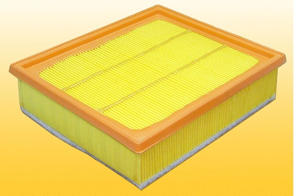 Air Filter (QFA583)