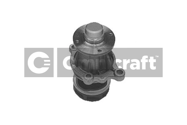 Water Pump, engine cooling (2317064)