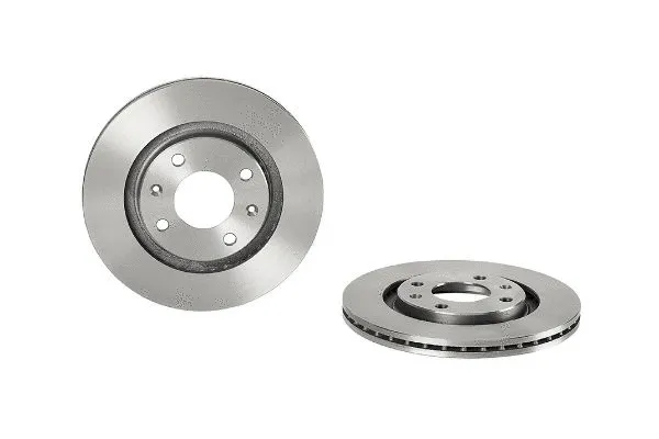 Brake Disc (2133934)