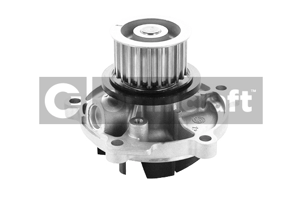 Water Pump, engine cooling (2317362)