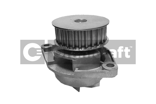 Water Pump, engine cooling (2316986)