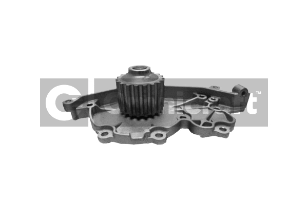 Water Pump, engine cooling (2317218)