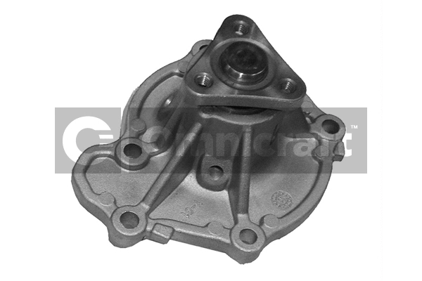 Water Pump, engine cooling (2317026)