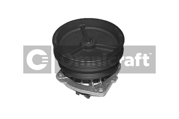 Water Pump, engine cooling (2317085)