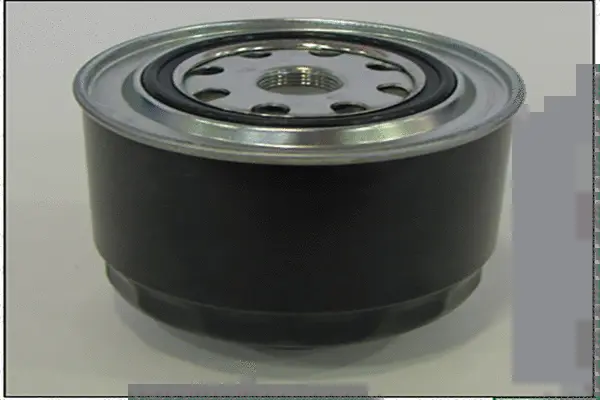 Fuel Filter (QFG117)