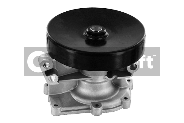 Water Pump, engine cooling (2317310)