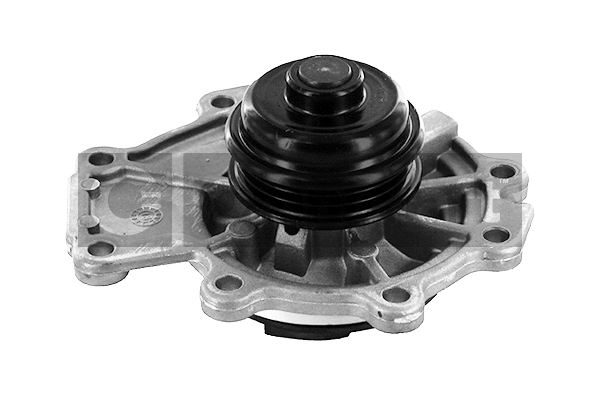 Water Pump, engine cooling (2317388)