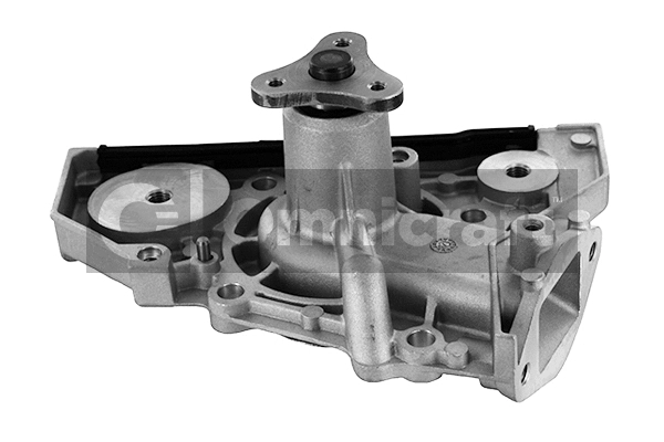 Water Pump, engine cooling (2317438)