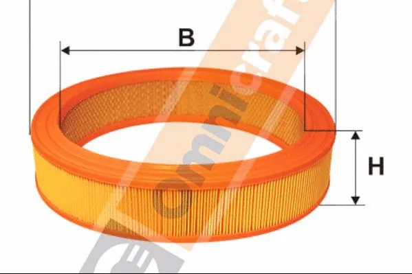 Air Filter (2132999)