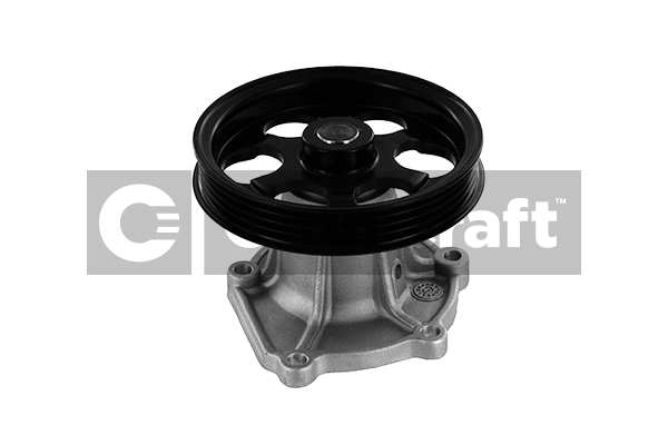 Water Pump, engine cooling (2317316)