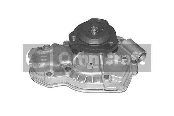 Water Pump, engine cooling (2317322)