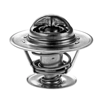 Thermostat, coolant (2458062)