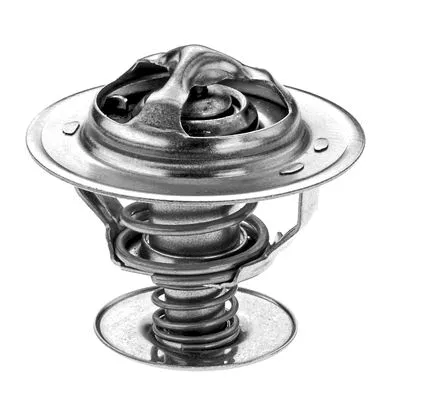 Thermostat, coolant (2458111)