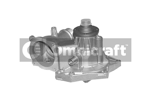 Water Pump, engine cooling (2317480)