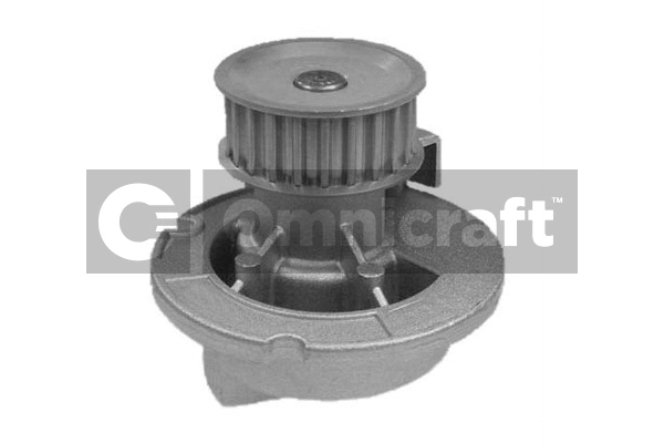 Water Pump, engine cooling (2317038)