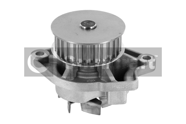 Water Pump, engine cooling (2316984)