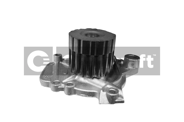 Water Pump, engine cooling (2317232)