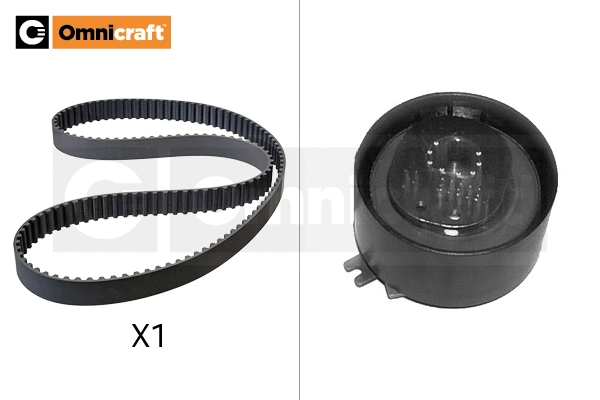 Timing Belt Kit (2328402)