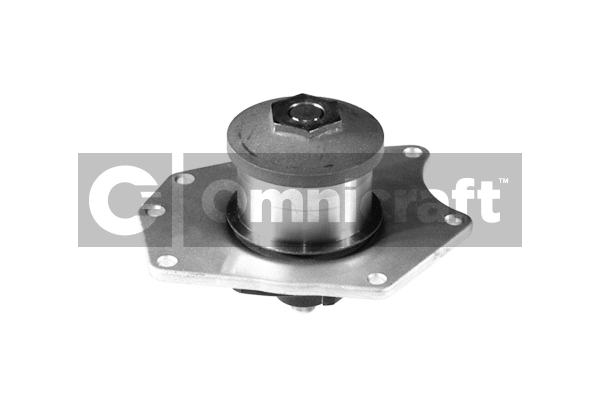 Water Pump, engine cooling (2317477)
