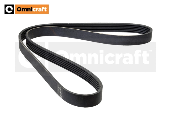 V-Ribbed Belt (2329997)